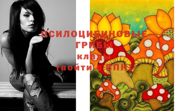 mix Арсеньев