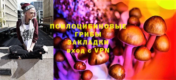 прущая мука Армянск