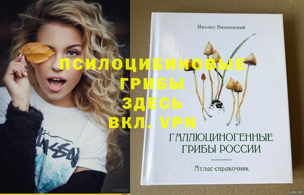 прущая мука Армянск