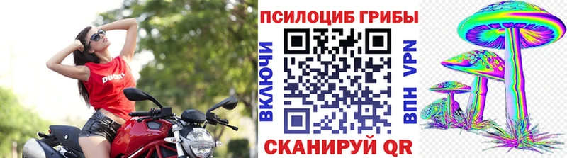 blacksprut онион  наркошоп  Ядрин  Галлюциногенные грибы MAGIC MUSHROOMS 